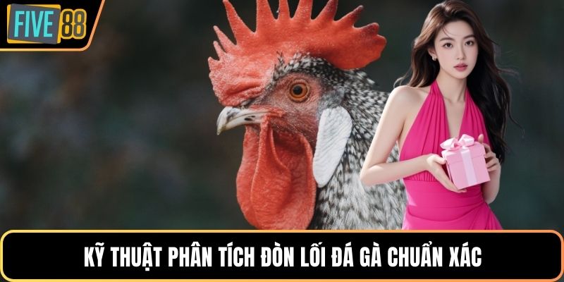 Kỹ thuật phân tích đòn lối đá gà chuẩn xác